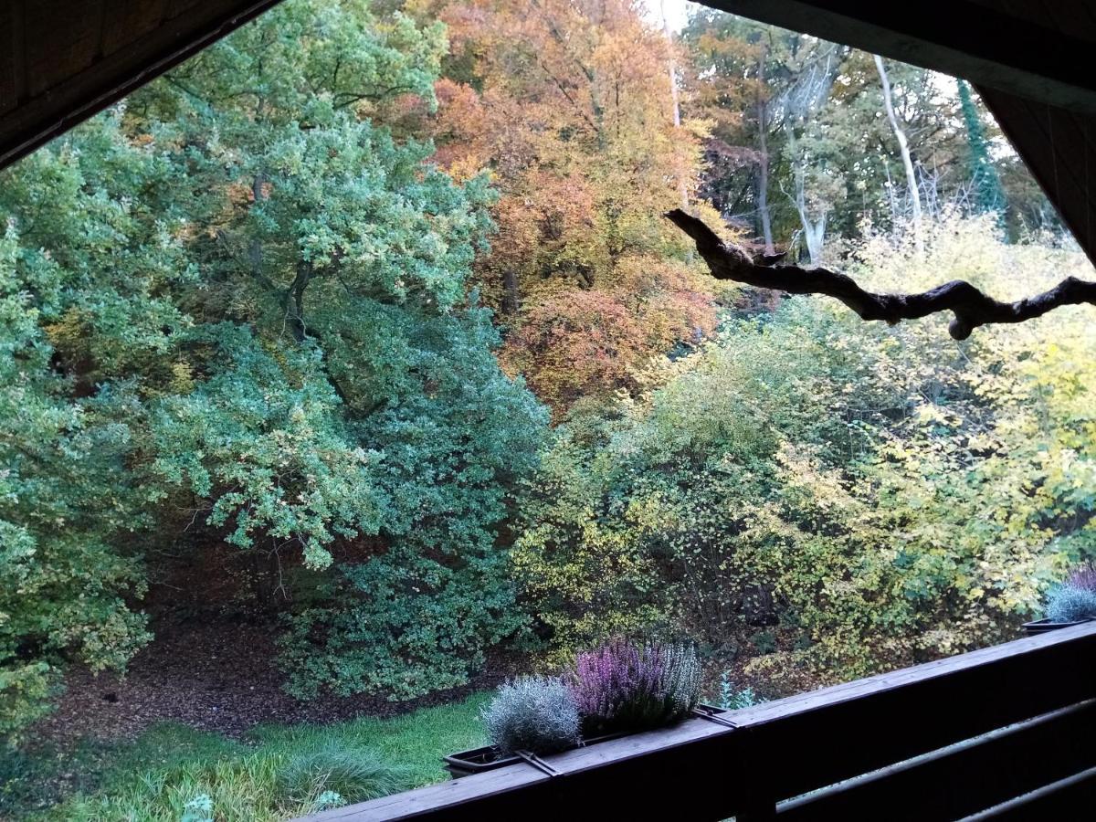 Appartamento Haus Am Wald Klingberg Esterno foto
