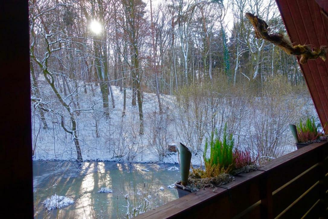 Appartamento Haus Am Wald Klingberg Esterno foto